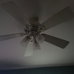 Meet your Posher, Dan